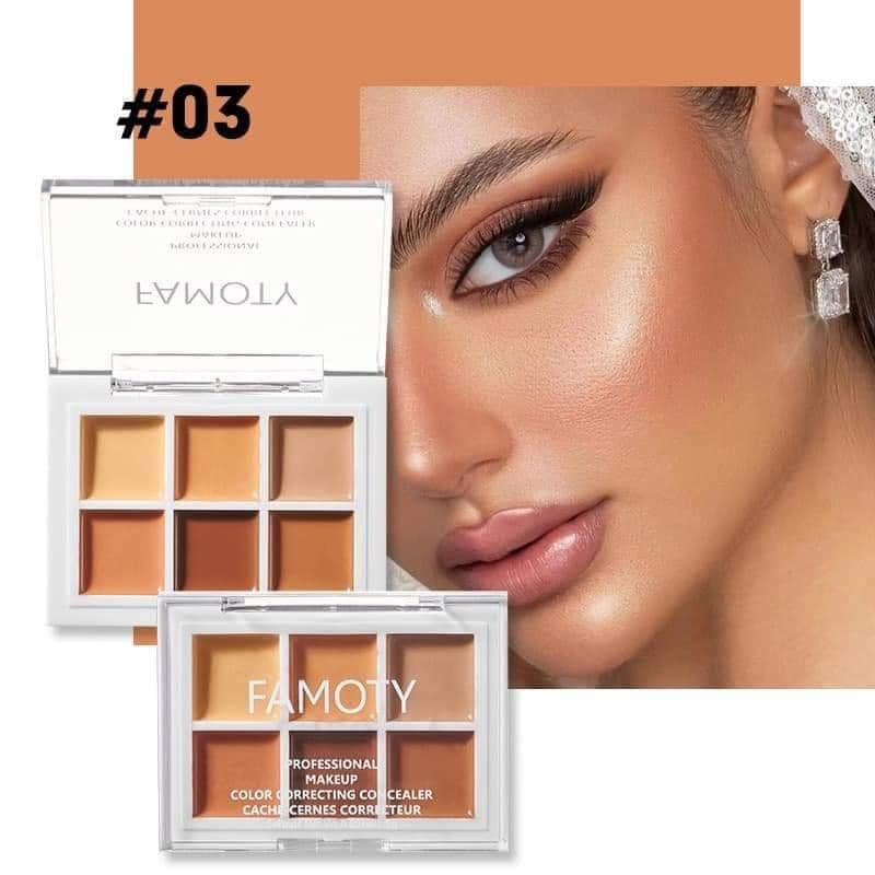 Concealer / color corrector