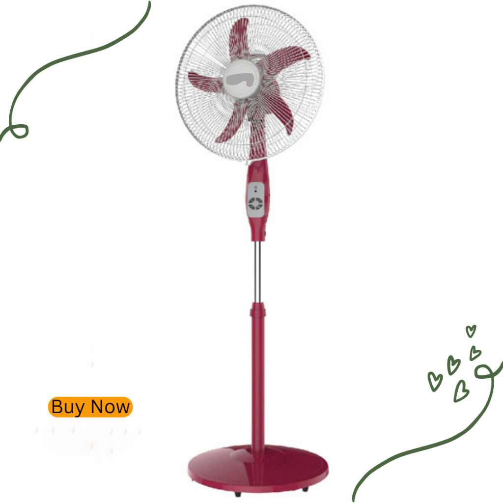 Rechargeable Floor Stand Fan - 16 Inch (With Remote)